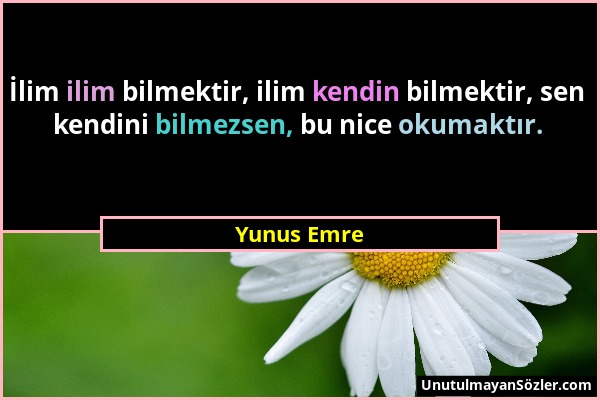 Yunus Emre - İlim ilim bilmektir, ilim kendin bilmektir, sen kendini bilmezsen, bu nice okumaktır....