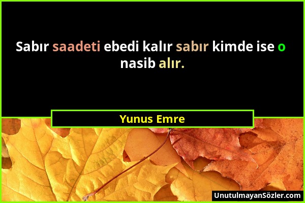 Yunus Emre - Sabır saadeti ebedi kalır sabır kimde ise o nasib alır....