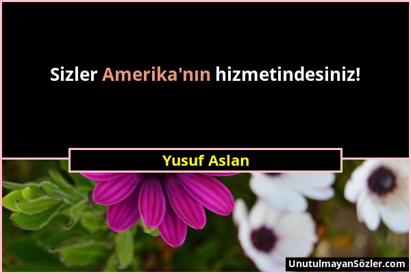 Yusuf Aslan - Sizler Amerika'nın hizmetindesiniz!...