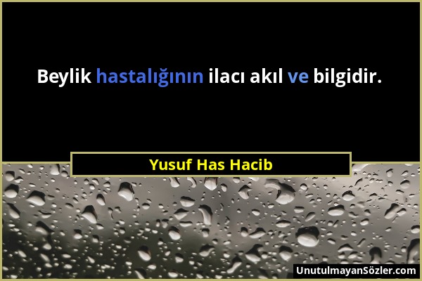 Yusuf Has Hacib - Beylik hastalığının ilacı akıl ve bilgidir....