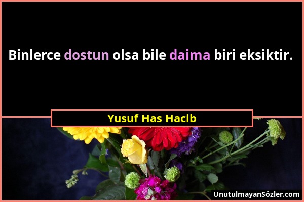 Yusuf Has Hacib - Binlerce dostun olsa bile daima biri eksiktir....