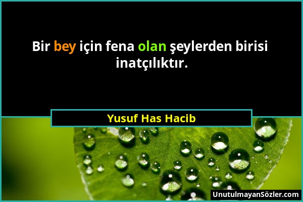 Yusuf Has Hacib - Bir bey için fena olan şeylerden birisi inatçılıktır....