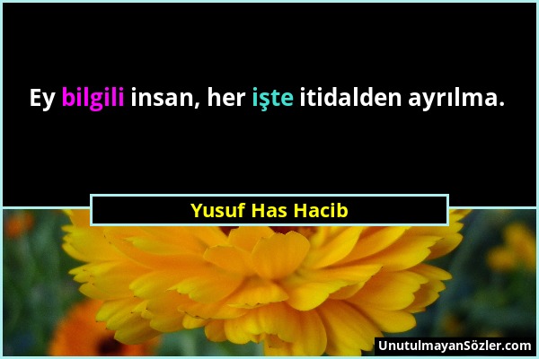 Yusuf Has Hacib - Ey bilgili insan, her işte itidalden ayrılma....