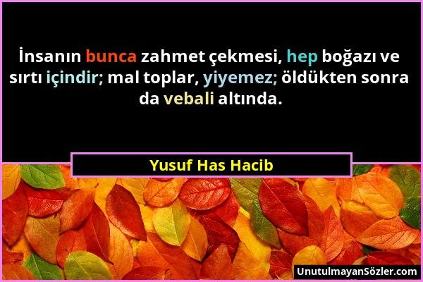 Yusuf Has Hacib - İnsanın bunca zahmet çekmesi, hep boğazı ve sırtı içindir; mal toplar, yiyemez; öldükten sonra da vebali altında....