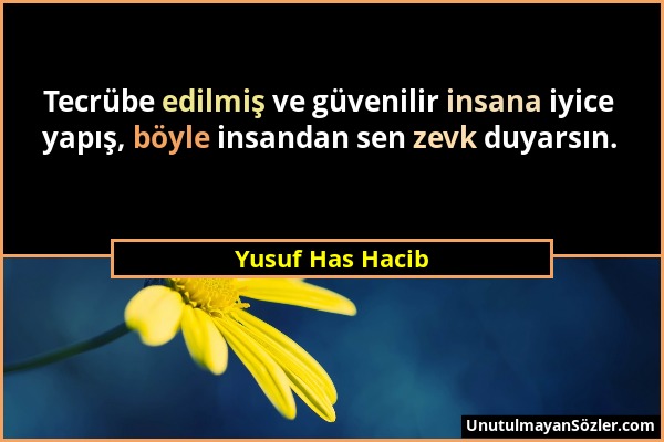 Yusuf Has Hacib - Tecrübe edilmiş ve güvenilir insana iyice yapış, böyle insandan sen zevk duyarsın....