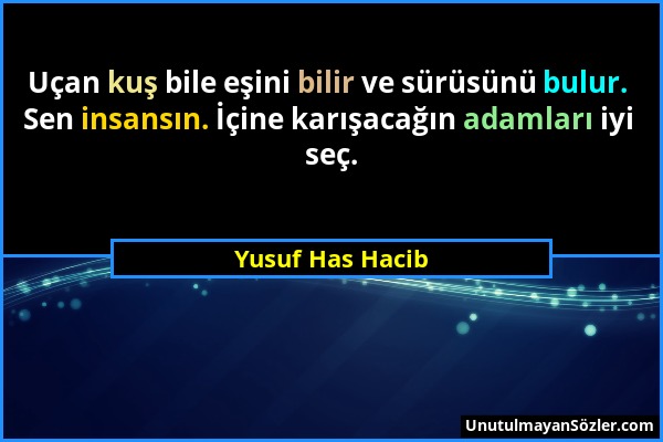 Yusuf Has Hacib - Uçan kuş bile eşini bilir ve sürüsünü bulur. Sen insansın. İçine karışacağın adamları iyi seç....