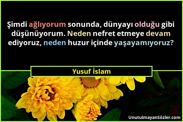 Yusuf İslam - Şimdi ağlıyorum sonunda, dünyayı olduğu gibi düşünüyorum. Neden nefret etmeye devam ediyoruz, neden huzur içinde yaşayamıyoruz?...