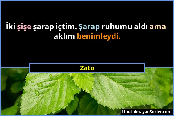 Zata - İki şişe şarap içtim. Şarap ruhumu aldı ama aklım benimleydi....