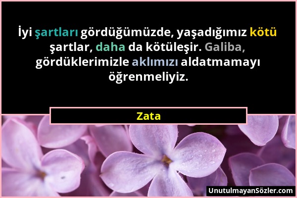Zata - İyi şartları gördüğümüzde, yaşadığımız kötü şartlar, daha da kötüleşir. Galiba, gördüklerimizle aklımızı aldatmamayı öğrenmeliyiz....