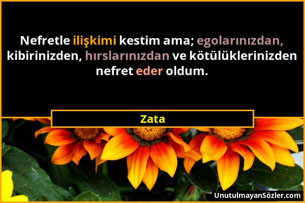 Zata - Nefretle ilişkimi kestim ama; egolarınızdan, kibirinizden, hırslarınızdan ve kötülüklerinizden nefret eder oldum....