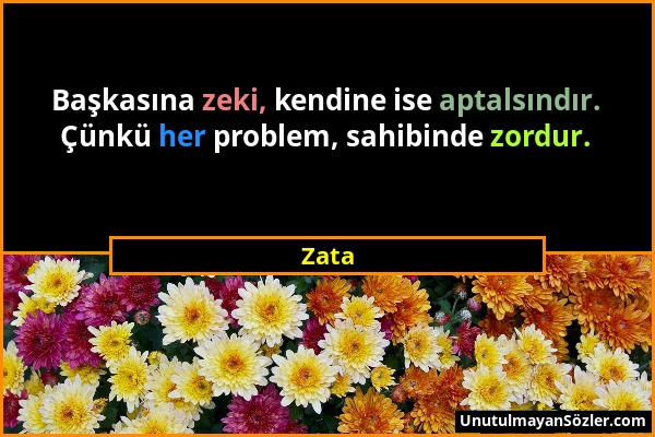 Zata - Başkasına zeki, kendine ise aptalsındır. Çünkü her problem, sahibinde zordur....