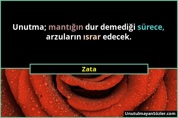 Zata - Unutma; mantığın dur demediği sürece, arzuların ısrar edecek....