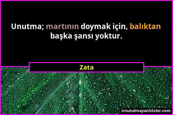 Zata - Unutma; martının doymak için, balıktan başka şansı yoktur....