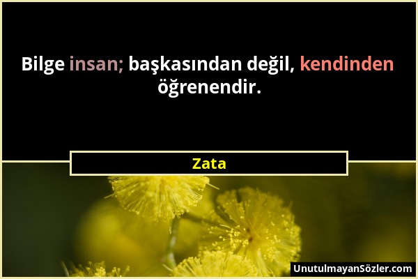 Zata - Bilge insan; başkasından değil, kendinden öğrenendir....