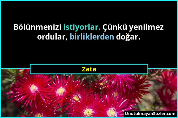 Zata - Bölünmenizi istiyorlar. Çünkü yenilmez ordular, birliklerden doğar....