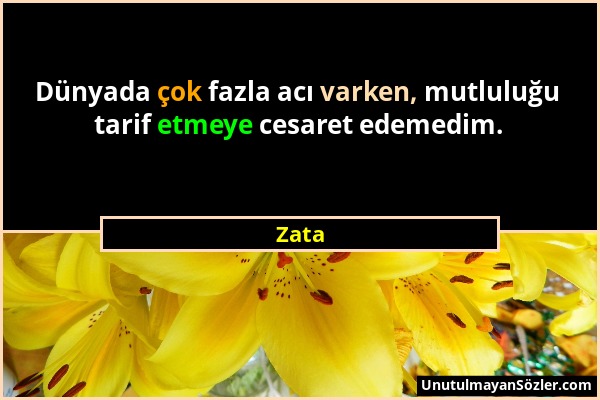 Zata - Dünyada çok fazla acı varken, mutluluğu tarif etmeye cesaret edemedim....