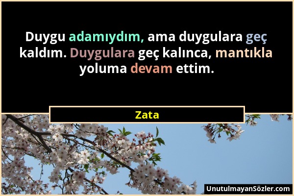 Zata - Duygu adamıydım, ama duygulara geç kaldım. Duygulara geç kalınca, mantıkla yoluma devam ettim....