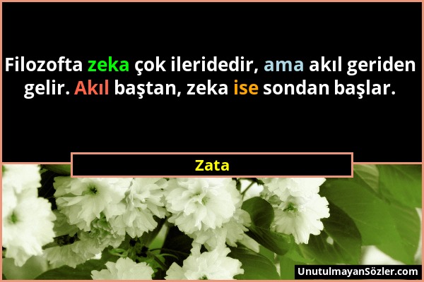 Zata - Filozofta zeka çok ileridedir, ama akıl geriden gelir. Akıl baştan, zeka ise sondan başlar....