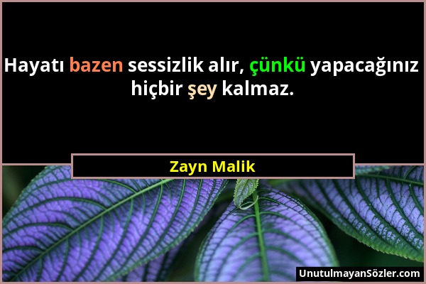 Zayn Malik - Hayatı bazen sessizlik alır, çünkü yapacağınız hiçbir şey kalmaz....