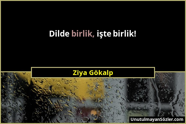 Ziya Gökalp - Dilde birlik, işte birlik!...