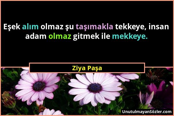 Ziya Paşa - Eşek alım olmaz şu taşımakla tekkeye, insan adam olmaz gitmek ile mekkeye....