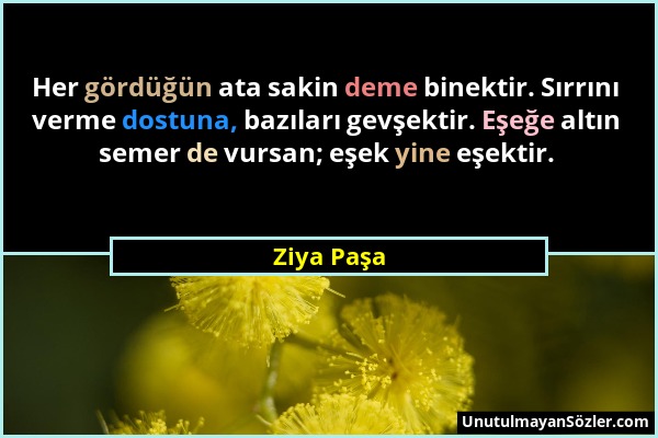 Ziya Paşa - Her gördüğün ata sakin deme binektir. Sırrını verme dostuna, bazıları gevşektir. Eşeğe altın semer de vursan; eşek yine eşektir....