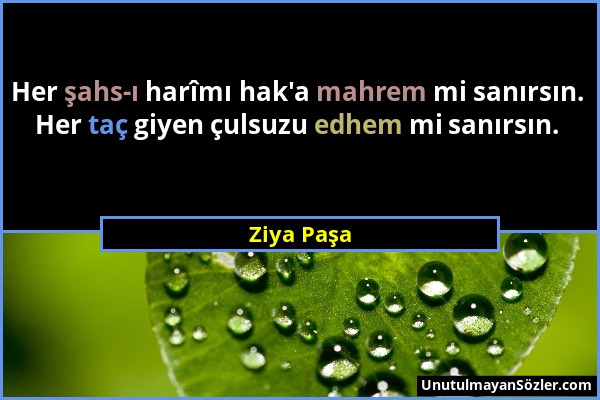 Ziya Paşa - Her şahs-ı harîmı hak'a mahrem mi sanırsın. Her taç giyen çulsuzu edhem mi sanırsın....