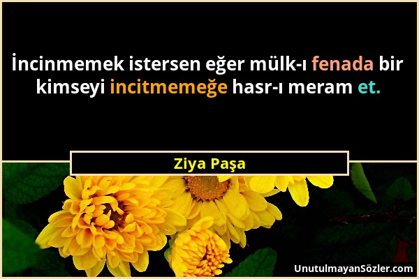 Ziya Paşa - İncinmemek istersen eğer mülk-ı fenada bir kimseyi incitmemeğe hasr-ı meram et....