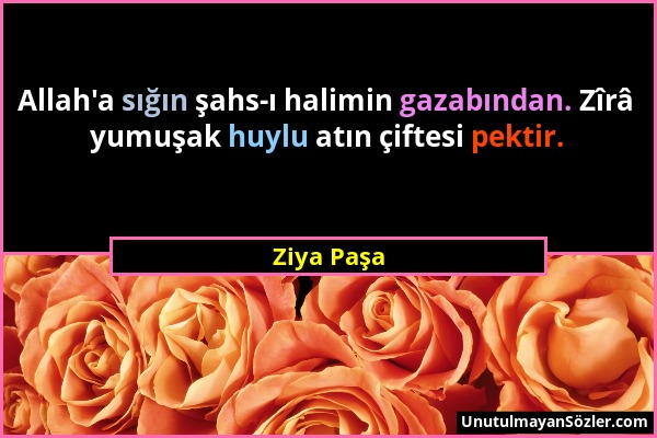 Ziya Paşa - Allah'a sığın şahs-ı halimin gazabından. Zîrâ yumuşak huylu atın çiftesi pektir....