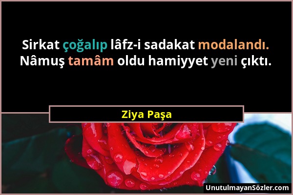 Ziya Paşa - Sirkat çoğalıp lâfz-i sadakat modalandı. Nâmuş tamâm oldu hamiyyet yeni çıktı....