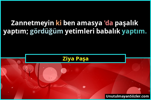 Ziya Paşa - Zannetmeyin ki ben amasya 'da paşalık yaptım; gördüğüm yetimleri babalık yaptım....