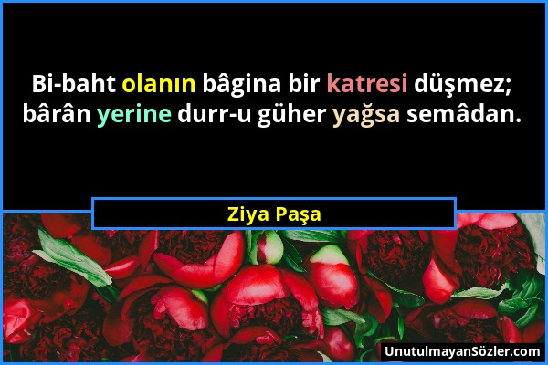 Ziya Paşa - Bi-baht olanın bâgina bir katresi düşmez; bârân yerine durr-u güher yağsa semâdan....