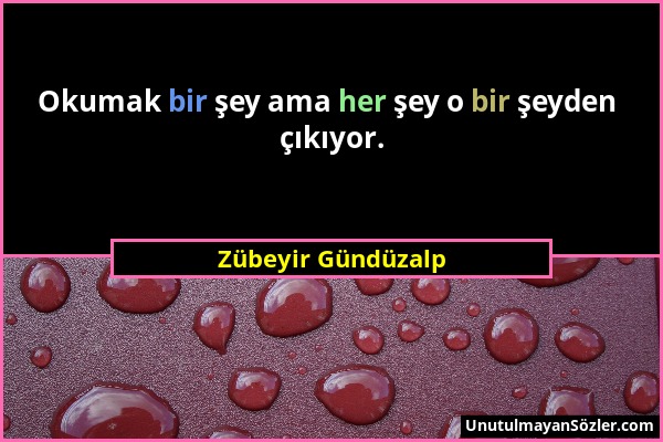 Zübeyir Gündüzalp - Okumak bir şey ama her şey o bir şeyden çıkıyor....