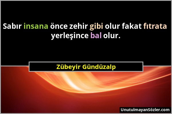 Zübeyir Gündüzalp - Sabır insana önce zehir gibi olur fakat fıtrata yerleşince bal olur....