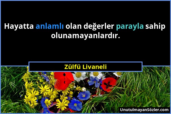 Zülfü Livaneli - Hayatta anlamlı olan değerler parayla sahip olunamayanlardır....