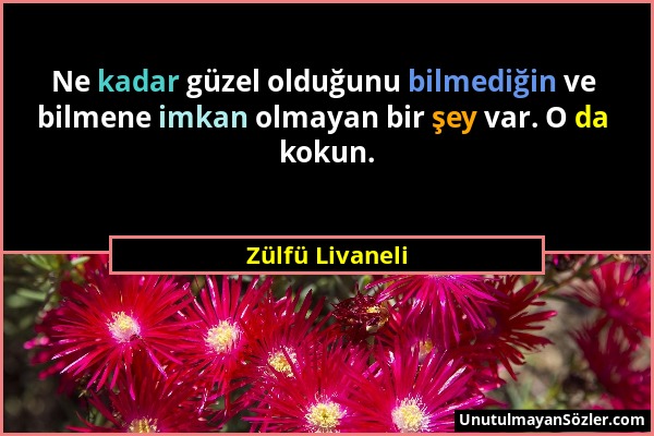 Zülfü Livaneli - Ne kadar güzel olduğunu bilmediğin ve bilmene imkan olmayan bir şey var. O da kokun....