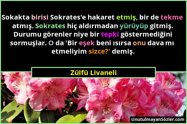 Zülfü Livaneli - Sokakta birisi Sokrates'e hakaret etmiş, bir de tekme atmış. Sokrates hiç aldırmadan yürüyüp gitmiş. Durumu görenler niye bir tepki g...