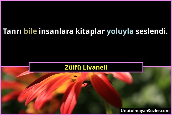 Zülfü Livaneli - Tanrı bile insanlara kitaplar yoluyla seslendi....