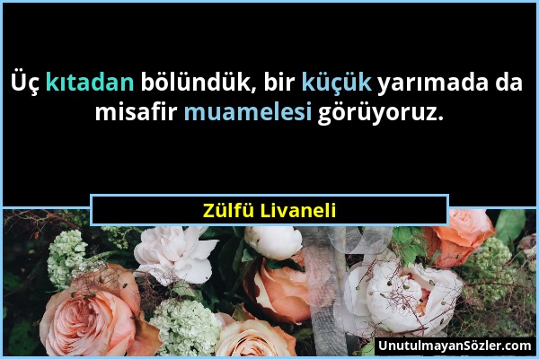 Zülfü Livaneli - Üç kıtadan bölündük, bir küçük yarımada da misafir muamelesi görüyoruz....