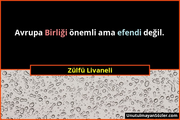 Zülfü Livaneli - Avrupa Birliği önemli ama efendi değil....