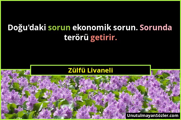 Zülfü Livaneli - Doğu'daki sorun ekonomik sorun. Sorunda terörü getirir....